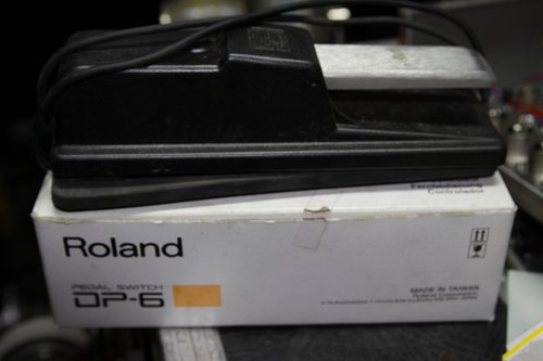 Roland DP 6.JPG